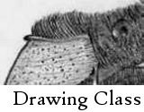 High School Drawing Class