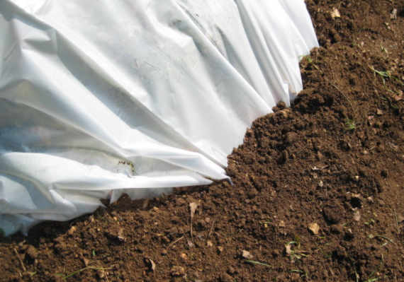 covered compost