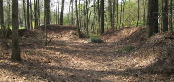 compost piles