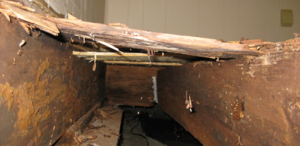 rotten wood and rotten joists