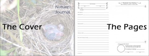 A Child's Folded Nature Journal