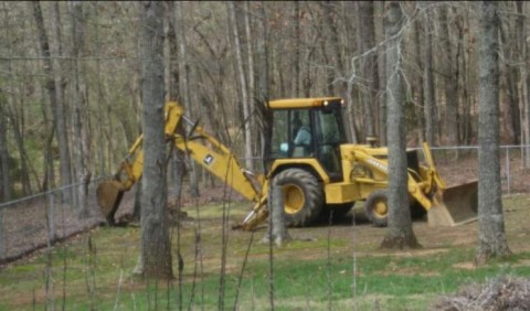 digging-out-stumps