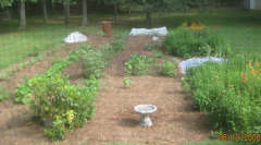 garden-6-12-08