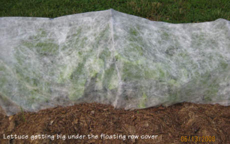 floating row cover