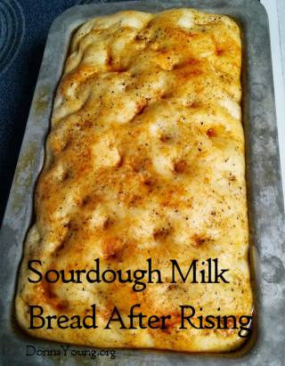 sourdough-milk-bread-ar