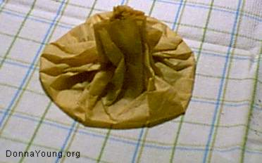 Mint Tea in coffee filter