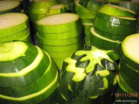 Zucchini