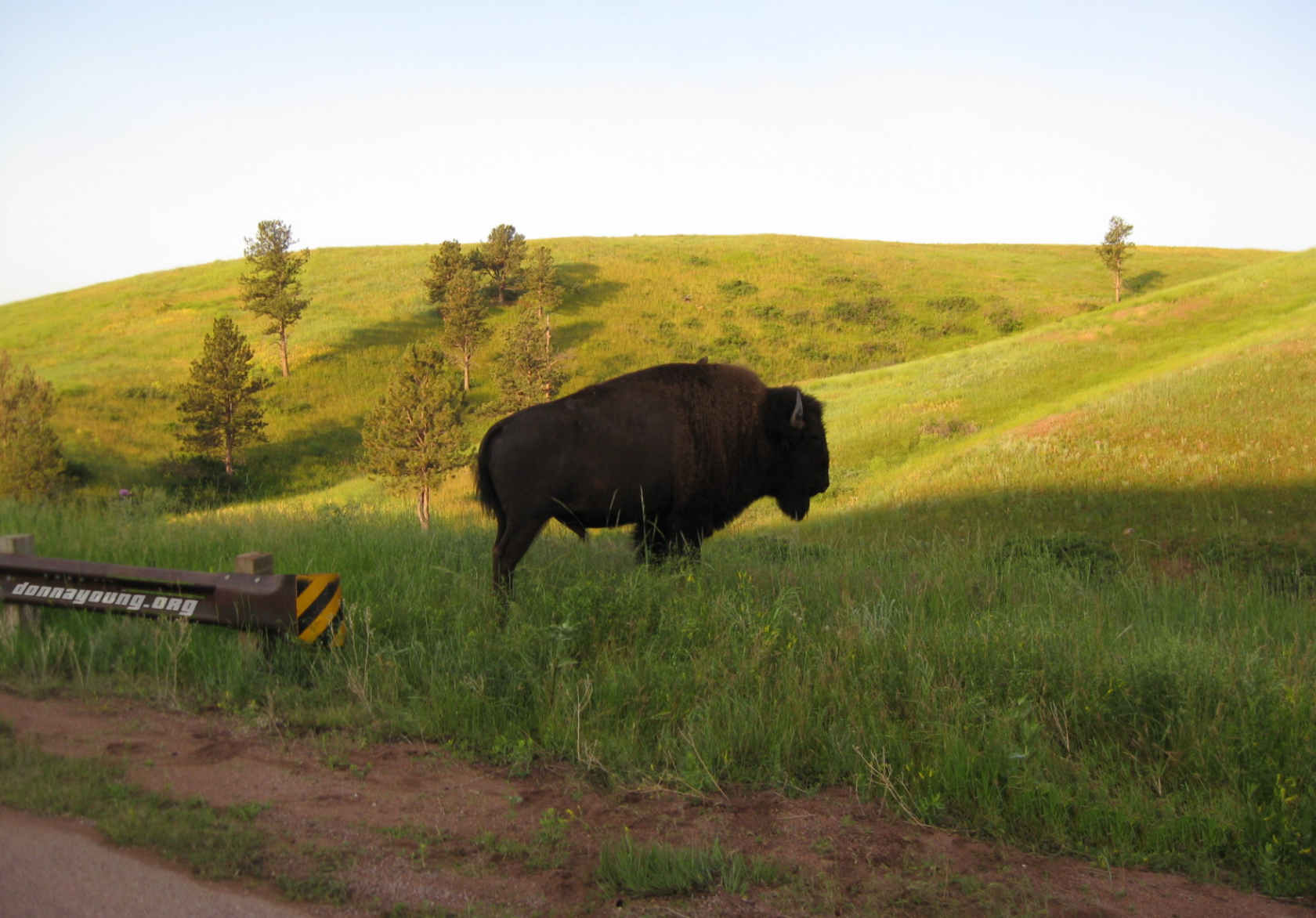 Bull! Authorization is Required to Enter