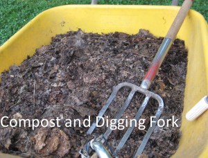 my wheelbarrow, fork, compost